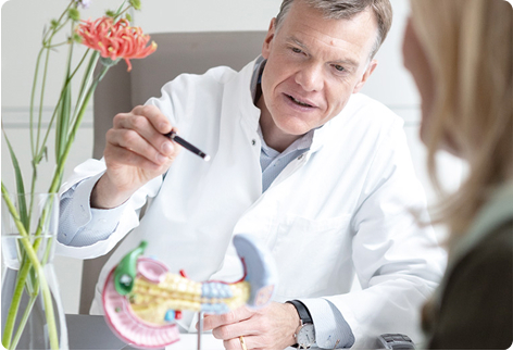 Dr. Schindl zeigt mit einem Stift auf ein Modell der Bauchspeicheldrüse und spricht zeitgleich mit einer Patientin.