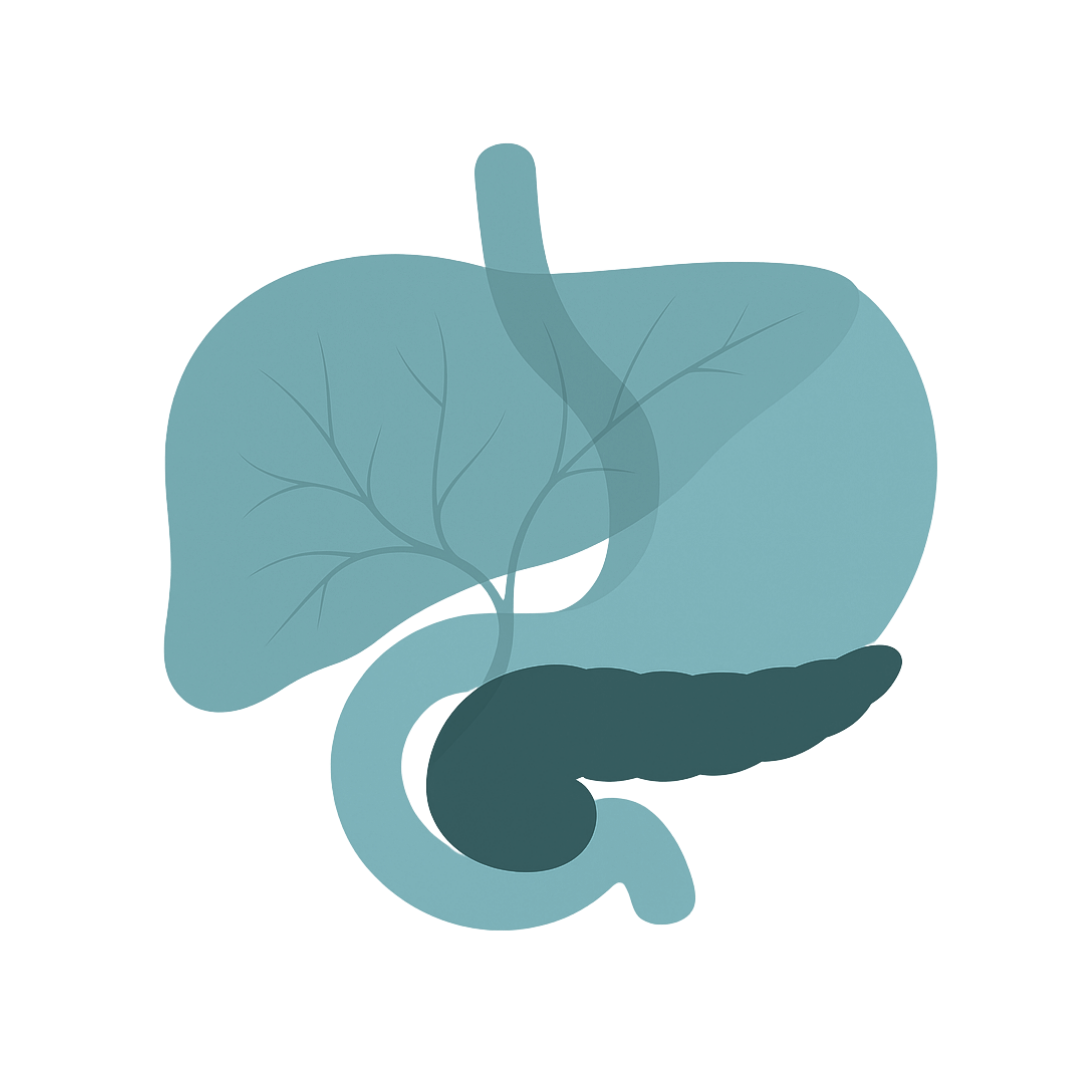 Eine vereinfachte bildliche Darstellung des menschlichen Verdauungstraktes in türkiser Farbe. Die Bauchspeicheldrüse ist durch eine dunkle Farbe herausgehoben.