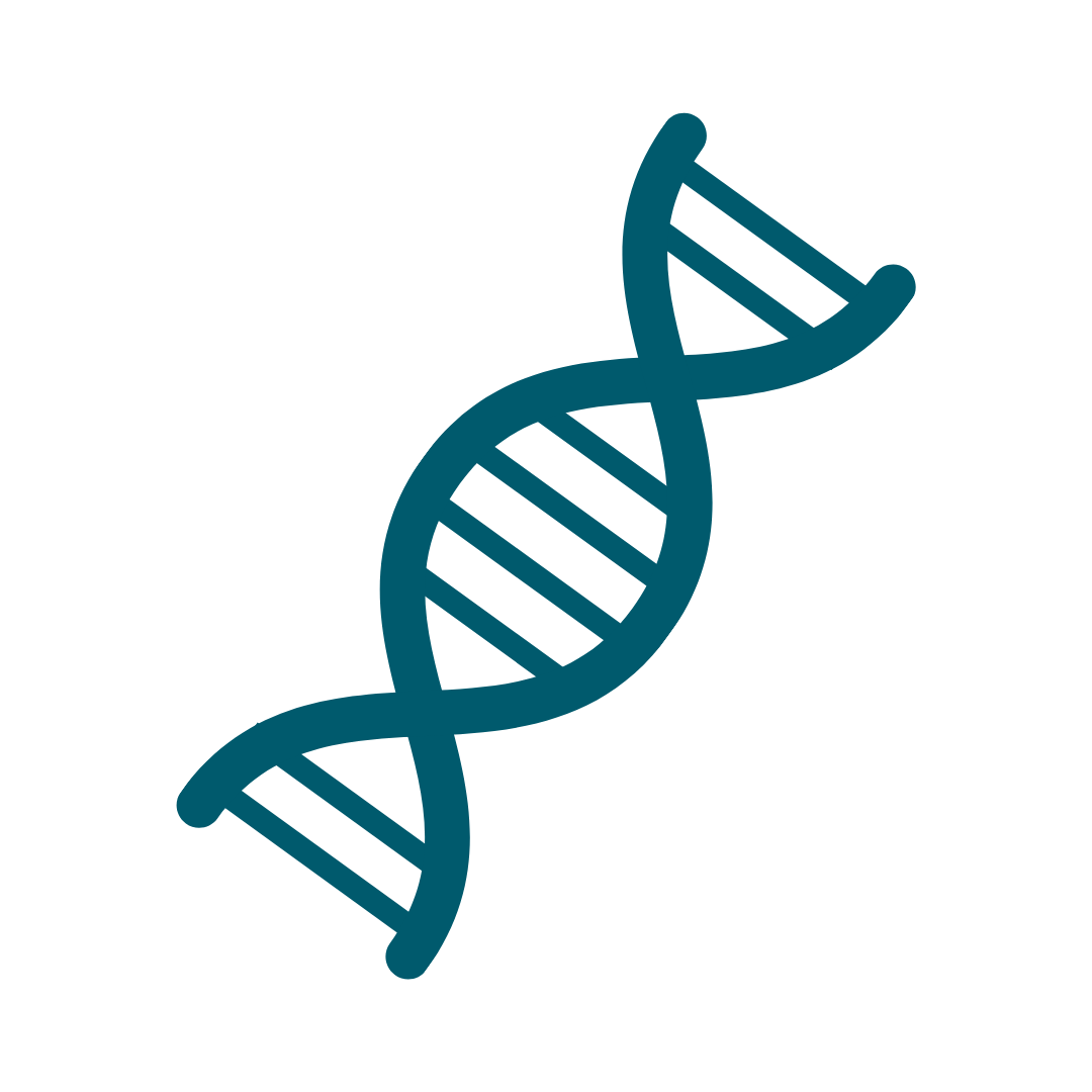 Eine vereinfachte bildliche Darstellung einer DNA-Helix in türkiser Farbe.